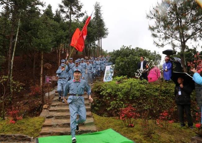 媒体2.jpg 媒体2.jpg